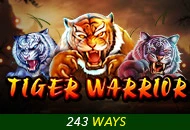 Tiger Warrior - BOYBET168